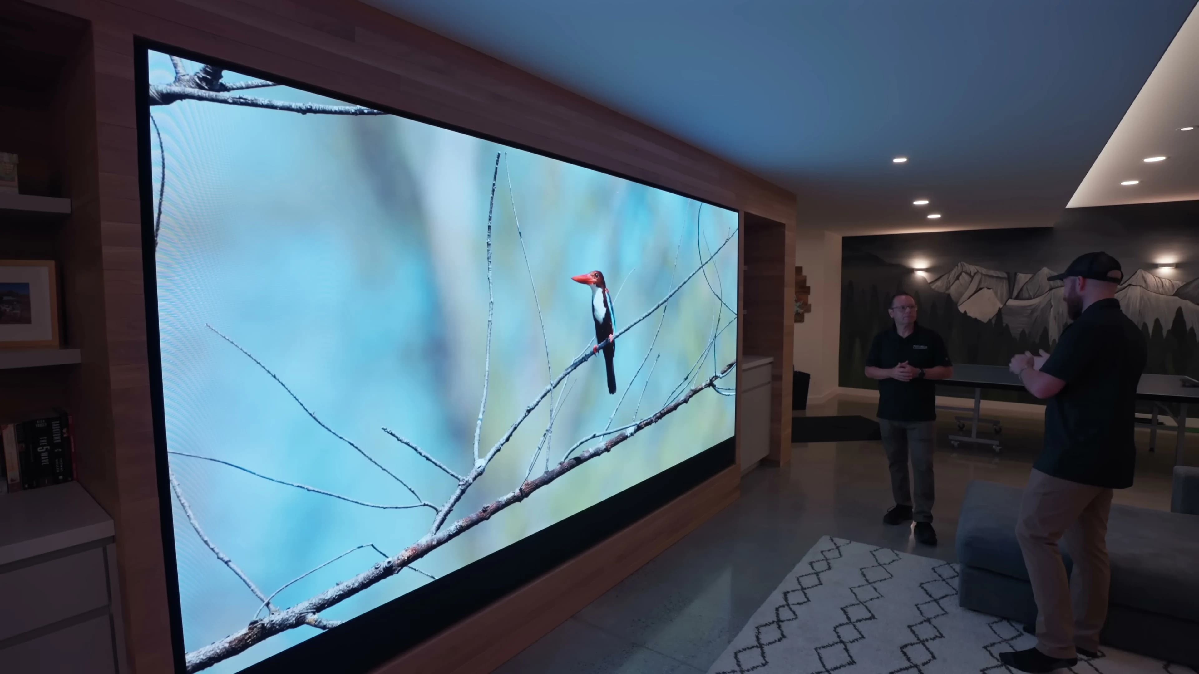 Wide view of the basement MicroLED and multipurpose layout